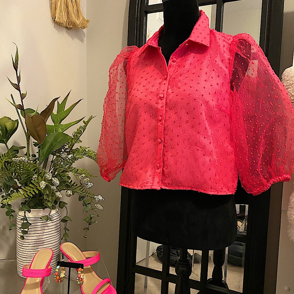 Hot pink shear sleeve blouse